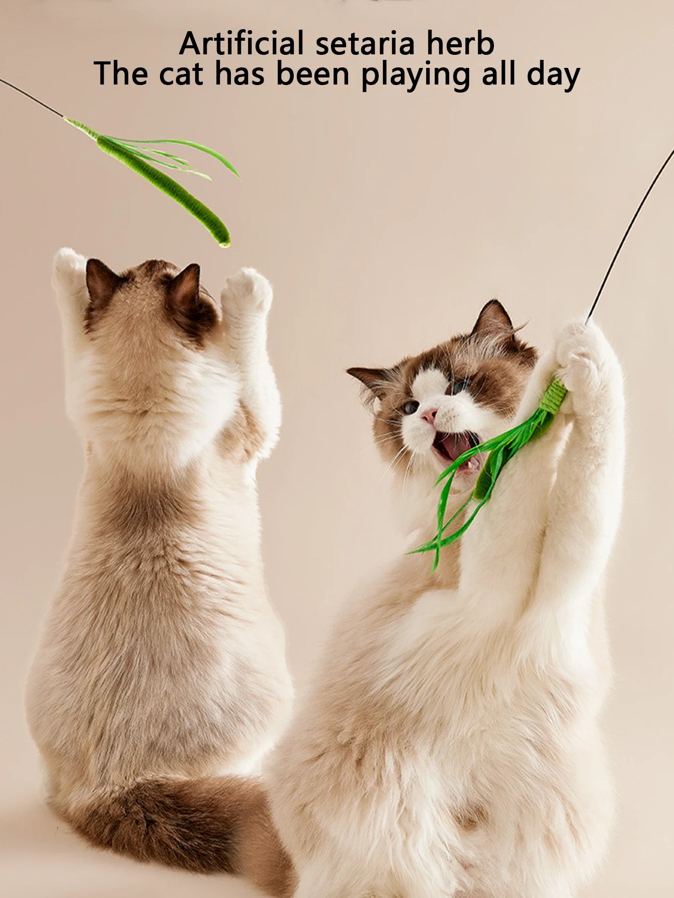 Cat Dog Tail Grass Dog Sage Feather Long Pole Cat Teasing Stick Bite Resistant Self Soothing Tool Cat Toy Pet Supplies