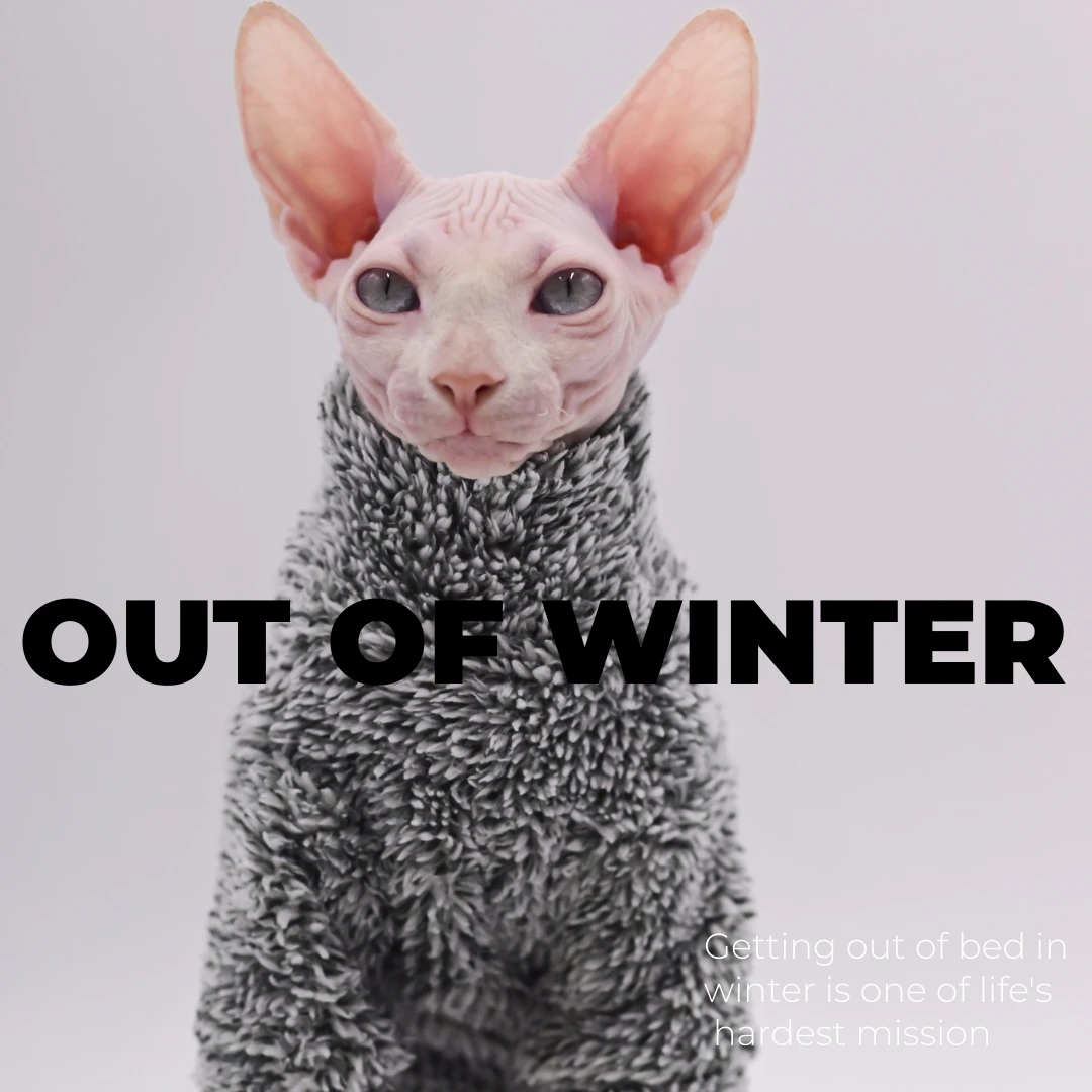 DUOMASUMI Super Cool Cat Outfits  Autumn Winter Warm Wearing Hairless Cat Apparel Clothing Sphynx Cat Clothes