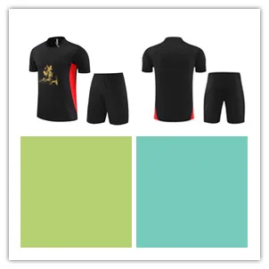 

Мужская футболка ACMila ort SVE Trasuit 2425, круглая горловина, приталенный крой, осень 2023, базовая модель Faion