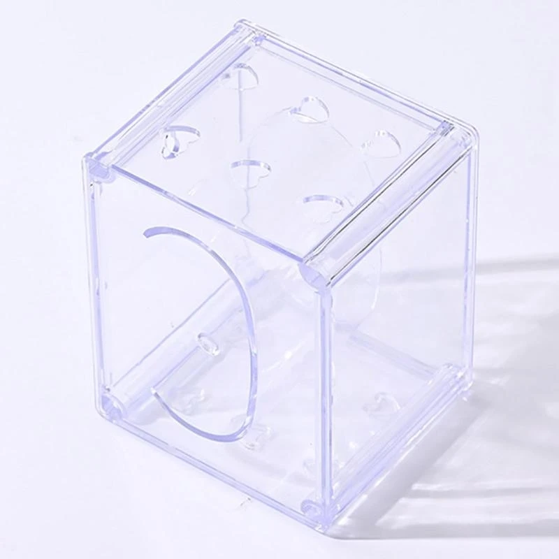 Transparent Watch Storage Box for Home or Retail Display Wristwatch