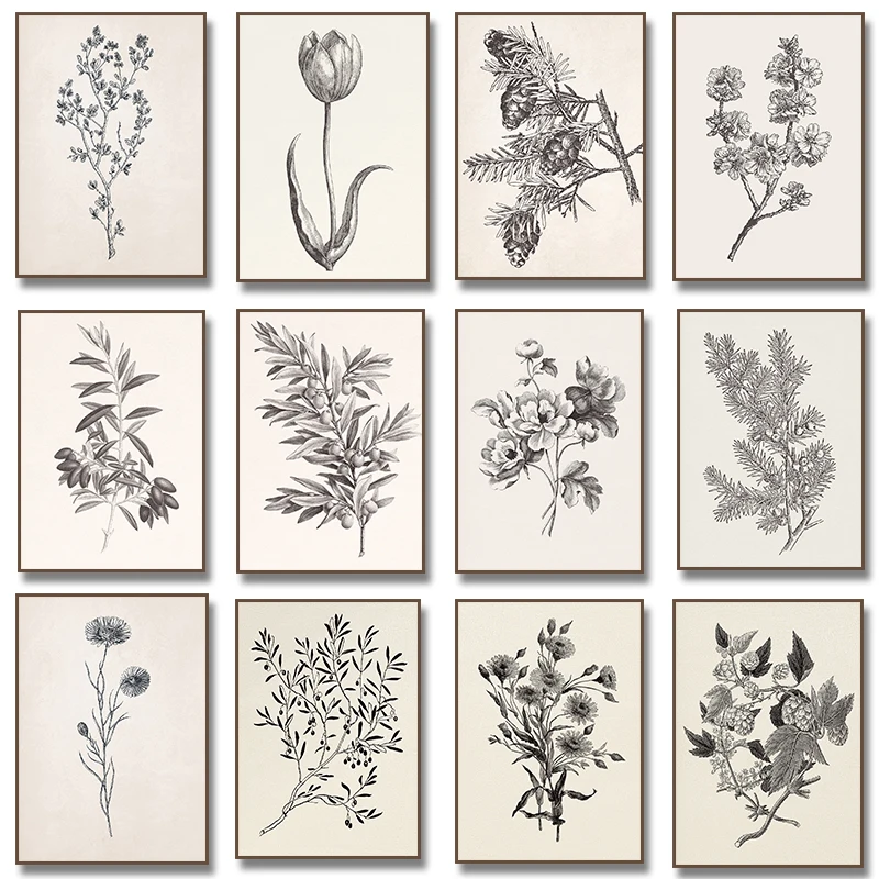 Póster con Dibujo de Ramas de Olivo, Flor de Manzanilla y Ajo, Impresión Vintage de Dibujo Botánico en Lienzo para Decoración de Cocina