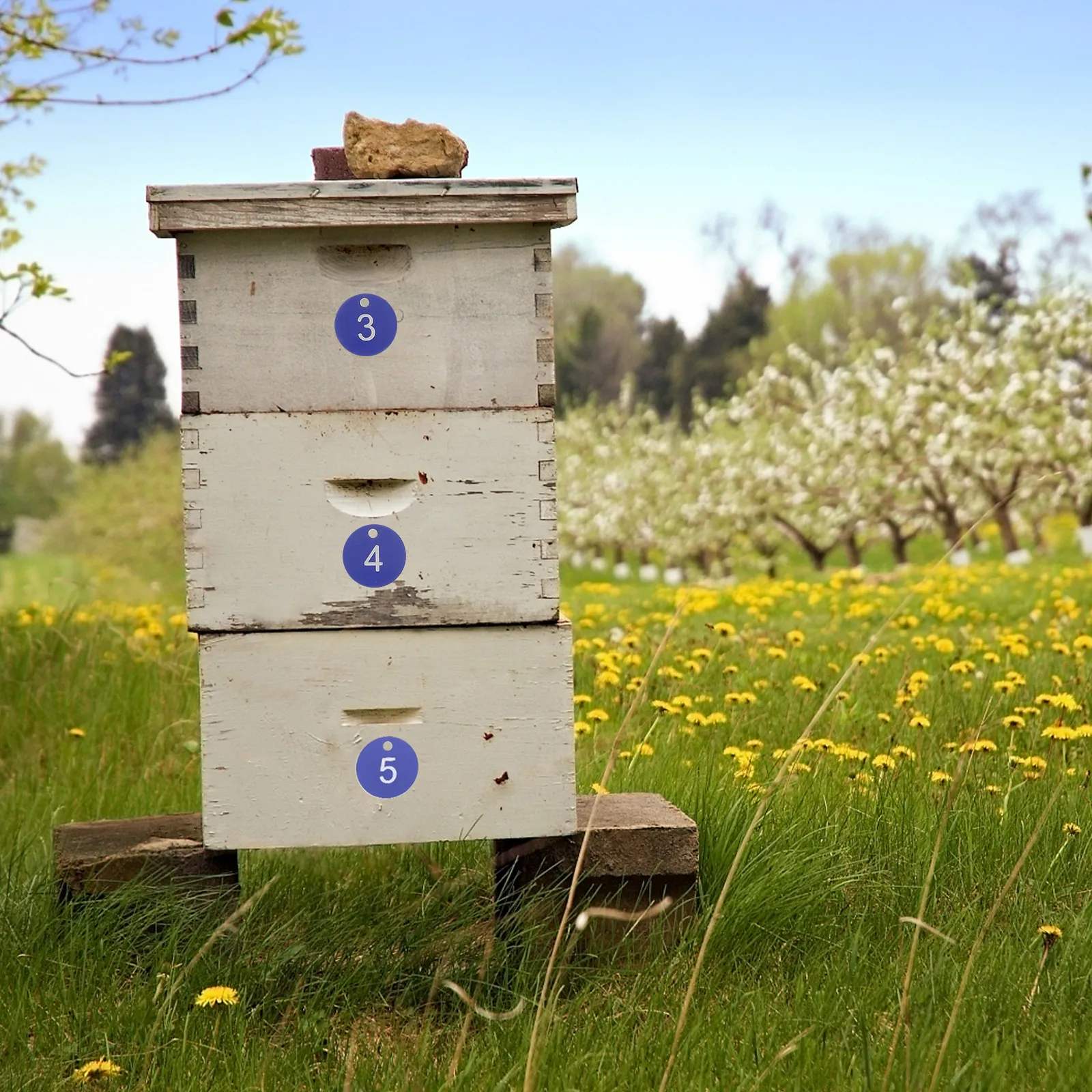 20Pcs Plastic Beehive Number Labels 0-20 Lightweight Portable Non Deformable Beekeeping Tool for Fast Hive Identification and