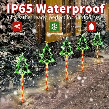 6 最佳銷售 巴斯頓領導 - №6