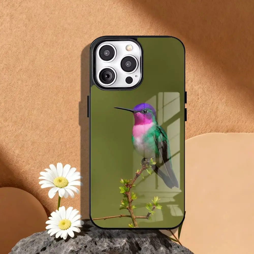 Colorful Bird Hummingbird Phone Cases For iPhone 17 16 15 14 13 12 11 Pro Max Full-coverage for Magsafe protective case