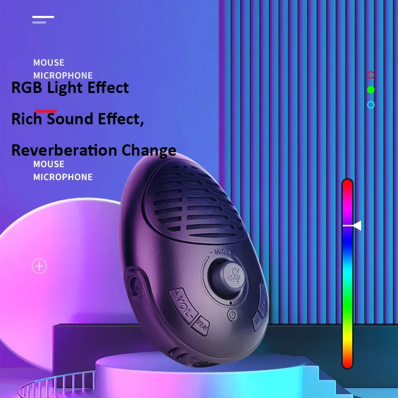 Portable RGB Small Conference Speaker With Echo Microphone For Gaming Teachers