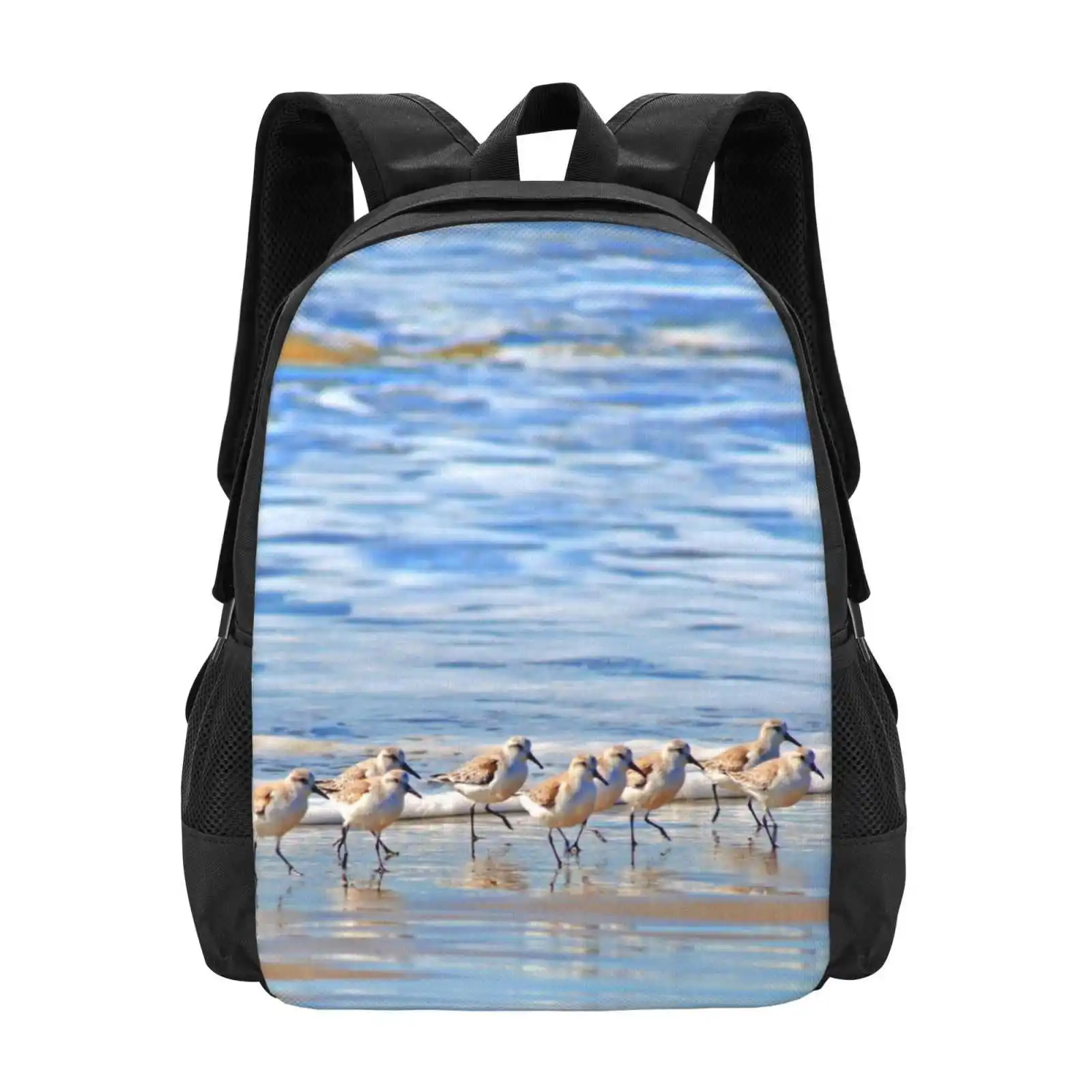 

Мы следующим лидером... Sandpipers In Goleta Beach California Рюкзак с 3D-принтом Студенческая сумка Очаровательные авианские птицы