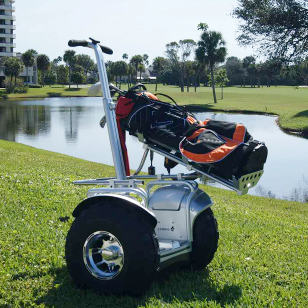 19 Inch Fat Tire for Hoverboard Electric Golf Carts Popular with Golf Bag Holder and Removable Battery Max Load 150kg view 5