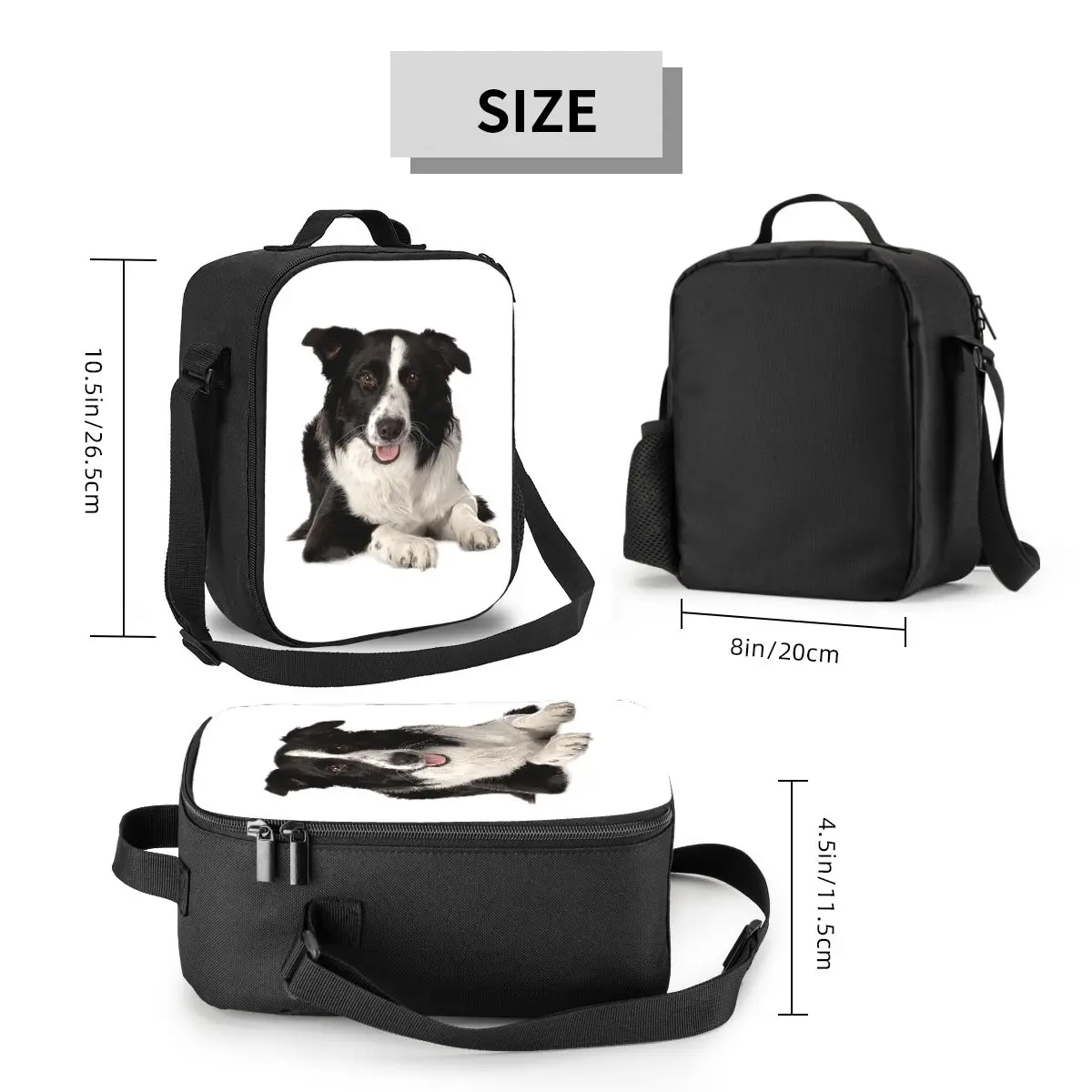 Border Collie Insulated Lunch Tote Bag per le donne Pet Dog Gift Resuable Cooler Thermal Food Lunch Box Work School Travel