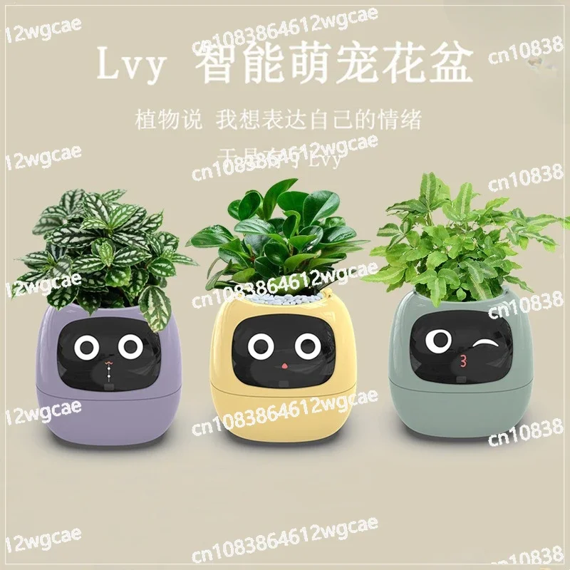 New Smart and Cute Pet Pet Pot Ivy Table Top Green Plants Let Your Plants Express Emotions