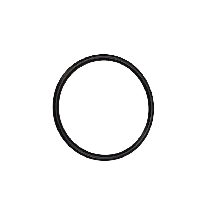 

06E 127 248 06E127248 for Audi A6L A4L Q5 Q7 A8 Chian Brand New High Pressure Fuel Pump O-Ring Seal 1pc