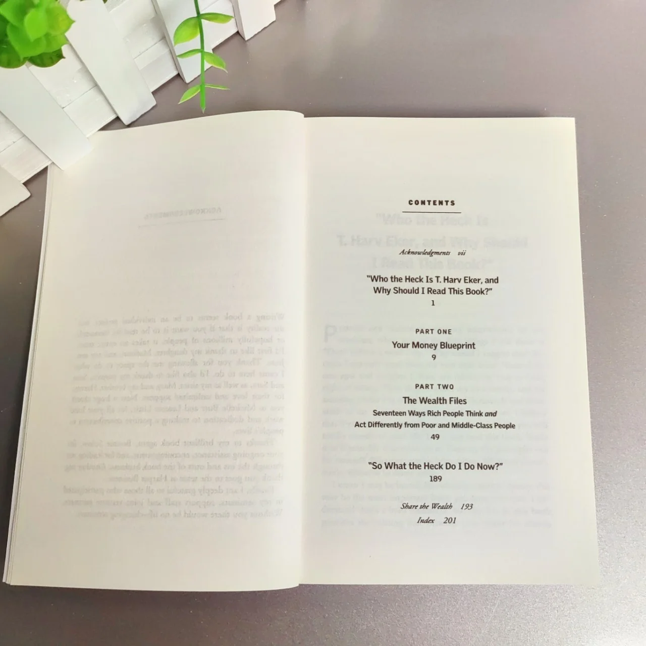 English Version Millionaire Mind Secrets: Master Wealth Mindset by T. Harv Eker | Finance Book