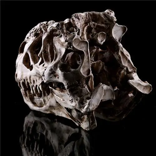 1 x Tyrannosaurus Rex Dinosaur Skull Handicrafts Resin Fossil Simulation Skull Model For Collectibles Light Color 15*11.5*8cm