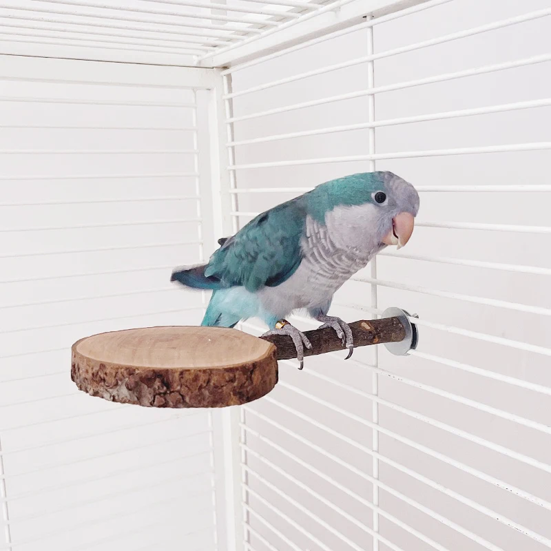Origin Wood Apple Branch Small Parrot Standing Board Safety Bite Resistant Bird Cage Accessories Fruity Stick Small Pet Supplies view 4