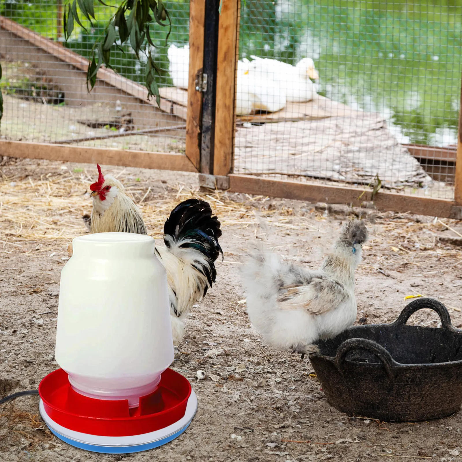 

Heated Chicken Waterer Base - Metal Poultry Water Heater with Automatic Thermostat for Winter Outdoor Use Smooth Easy Clean