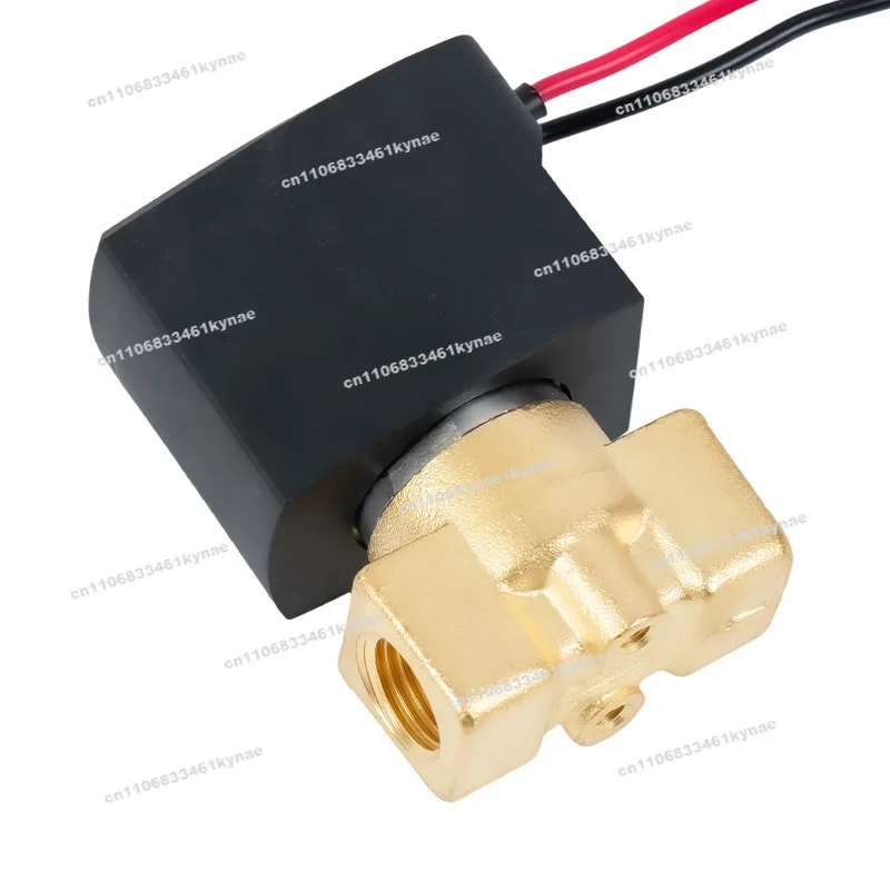 For V2A Brass Solenoid Valve 2 Points 304 Water Valve DC24V High Temperature DC12V220
