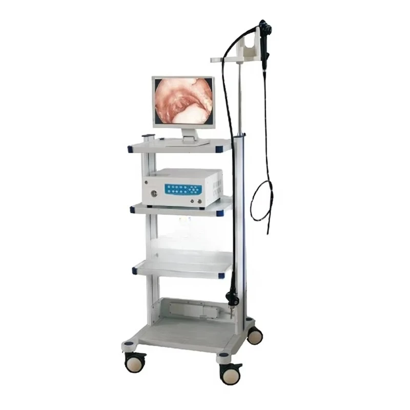 EUR VET wholesale price Veterinary equipment CMOS endoscope, medical flexible endoscope machine, dog gastroscope