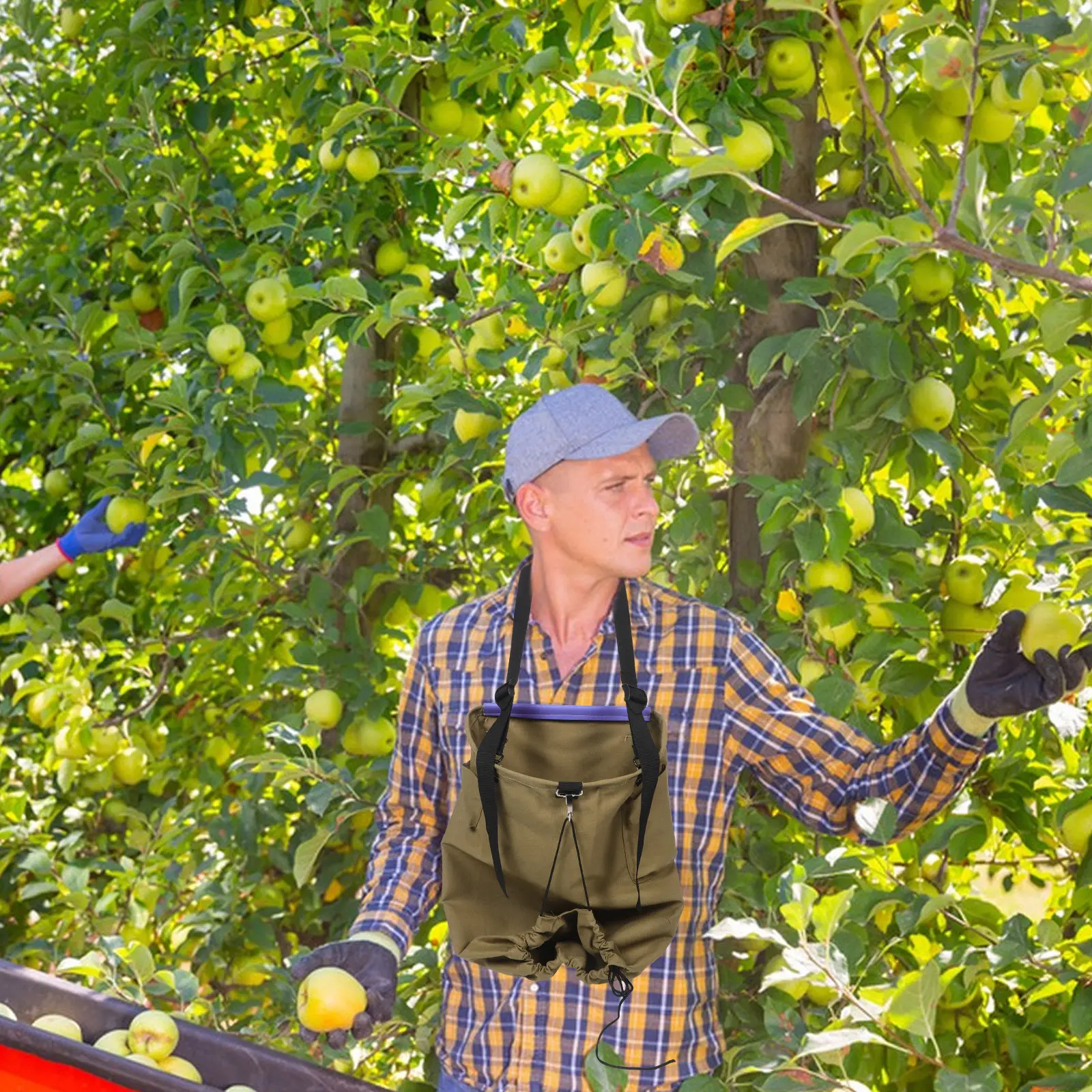 

Khaki Canvas Fruit Picking Bag Steel Ring Drawstring Apron for Peaches Pears Garden Harvest Tool