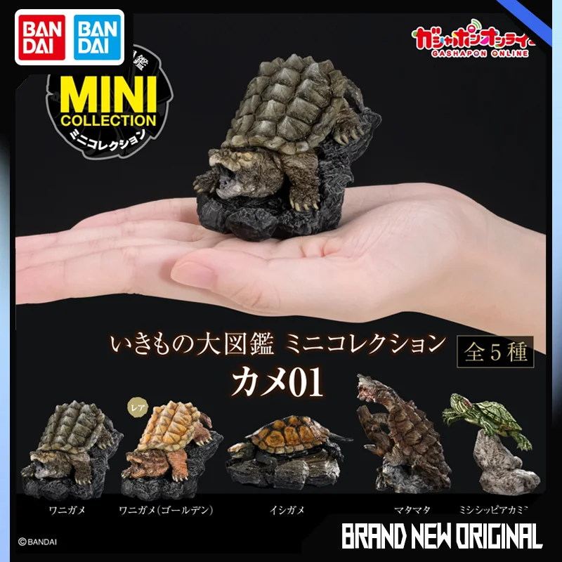 

BANDAI Biological Encyclopedia Action Figures Model Turtle Crocodile Turtle Brazil turtle GASHAPON Official Genuine Ornament