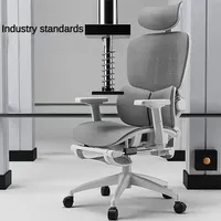 Ergonomic Office Chair, High Back Mesh Chair, Swivel Desk Chair with Adjustable Lumbar Support, Computer Gaming Chair for Home