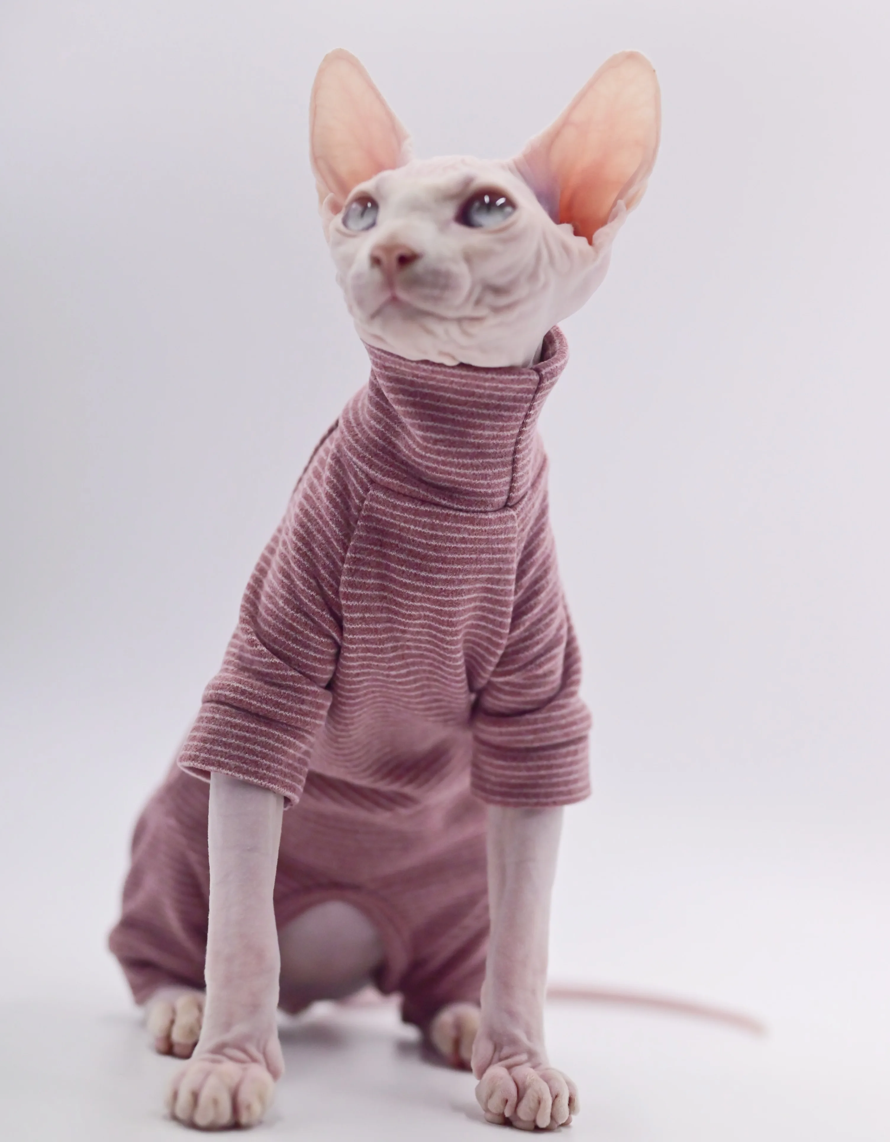 Roupas de gato sem pêlos com capuz de quatro pernas quente e macio para gatos Sphynx para outono e inverno para Devon Rex, Cornish