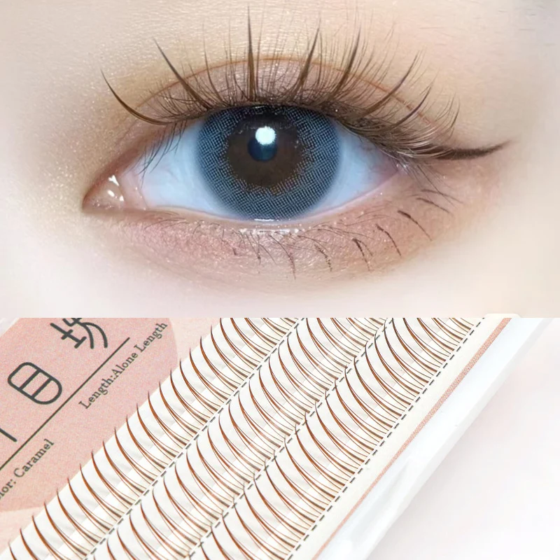 8-12mm A-Type Brown Individual Cluster Lashes, Soft Natural Fairy Strand Eyelashes, black Lashes for Korean Makeup Look