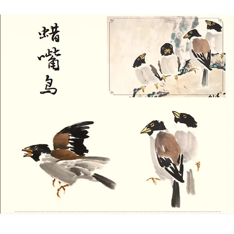 300 Chinese Painting Art Book : Freehand Birds and Bird Technique Tutorials books