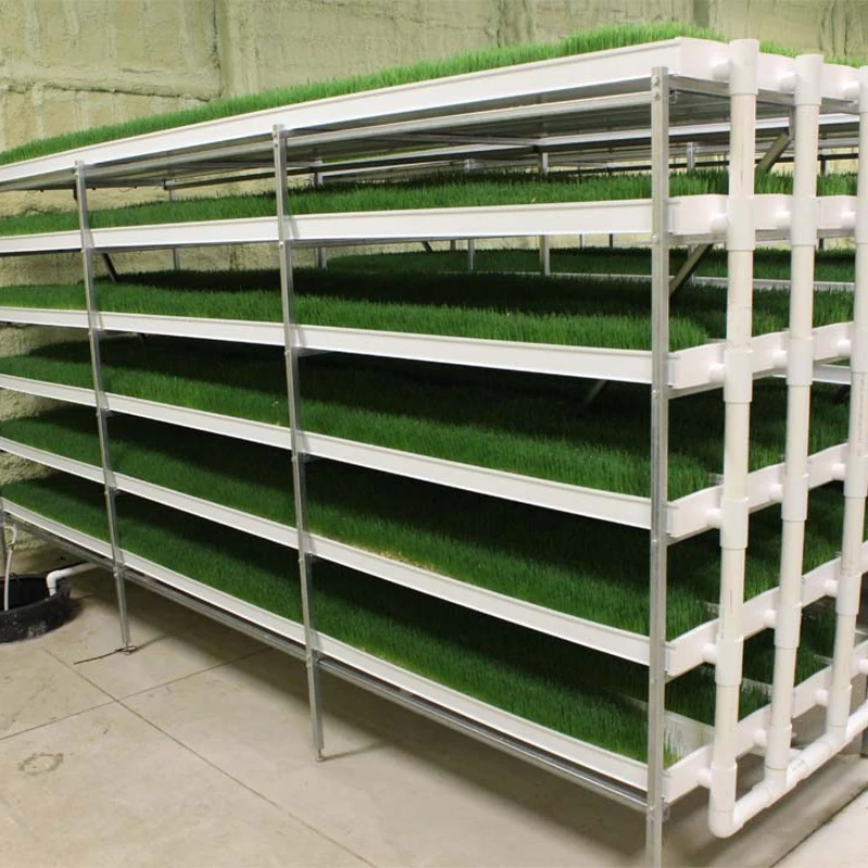 New Design smart hydroponics fodder systems for agricultural greenhouse farm