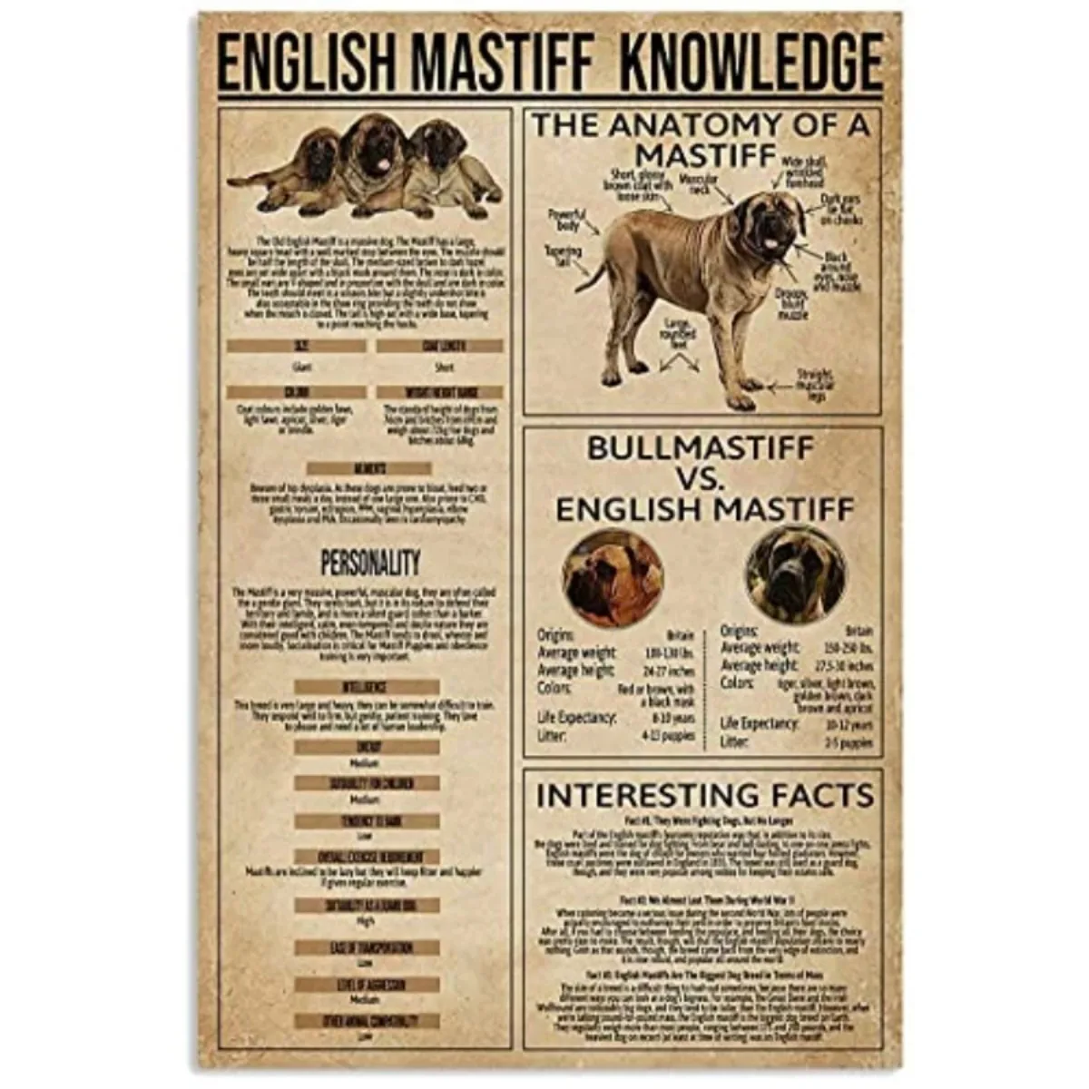 

Colors of Greyhound Metal Tin Sign Dog Type Knowledge Poster Farm Family Club School Education Wall Decoration Plaque