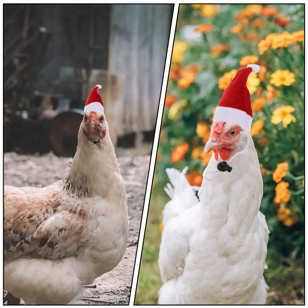 

2 set Pet Christmas Hat Scarf Set For Chicken Duck Small Animals Warm Dress Up Party Decorative Kit Winter Holiday Costume
