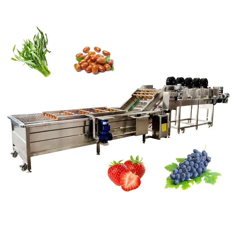 Jujube Fruit and Vegetable Bubble Cleaning Machine Vegetable Washing Machine Desalination Equipment Chili Cleaning Assembly Line
