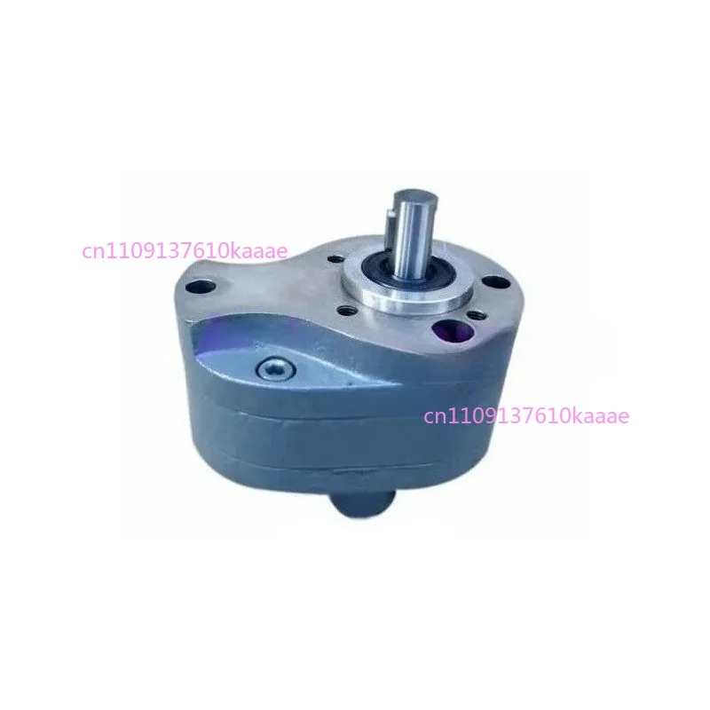 

Hydraulic Gear Pump CB-B6 6L/min 2.5Mpa Wear-resistant Pumps Low Pressure Oil Pump