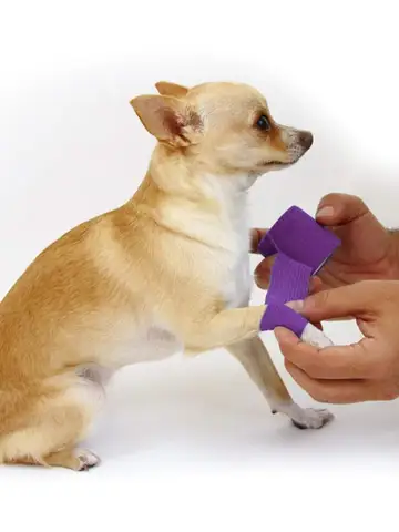 6pcs Self-Adhering Bandage Fixing Bandage Animal Bandage Hand Tearing Waterproof Elastic Bandage for Pets 5 cm X 4.5 M