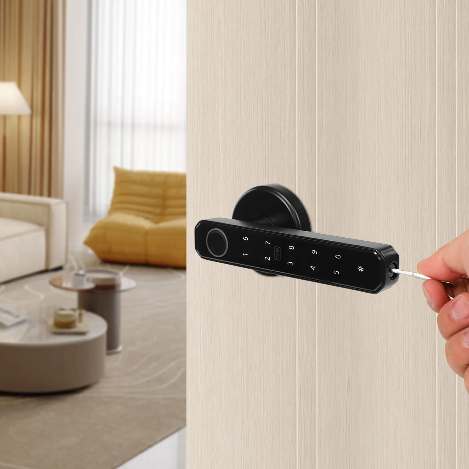 Black Biometric Fingerprint Smart Door Lock