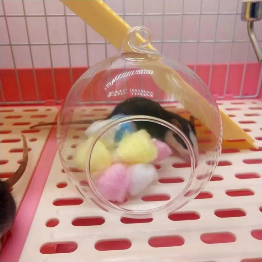 Hamster Cages Transparent Spherical Small Pet Glass Cooling House Bed Fill Hanging Cage Nest Box Case Small Pet Supplies