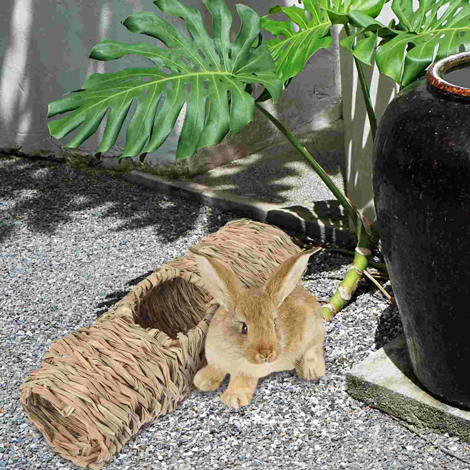 צעצוע קשת חמוסטר חמוסטר ארנבון שינה משחק פרקטי סנאיים ציוד לחיות מחמד