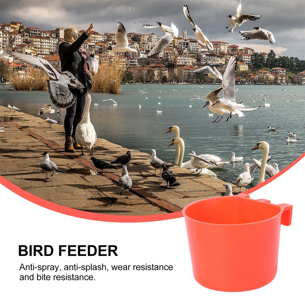 12 Pcs Feeding Bowl Bird Trough Squirrel Feeder Gamefowl Supplies Plastic Coop Cup Birds Food