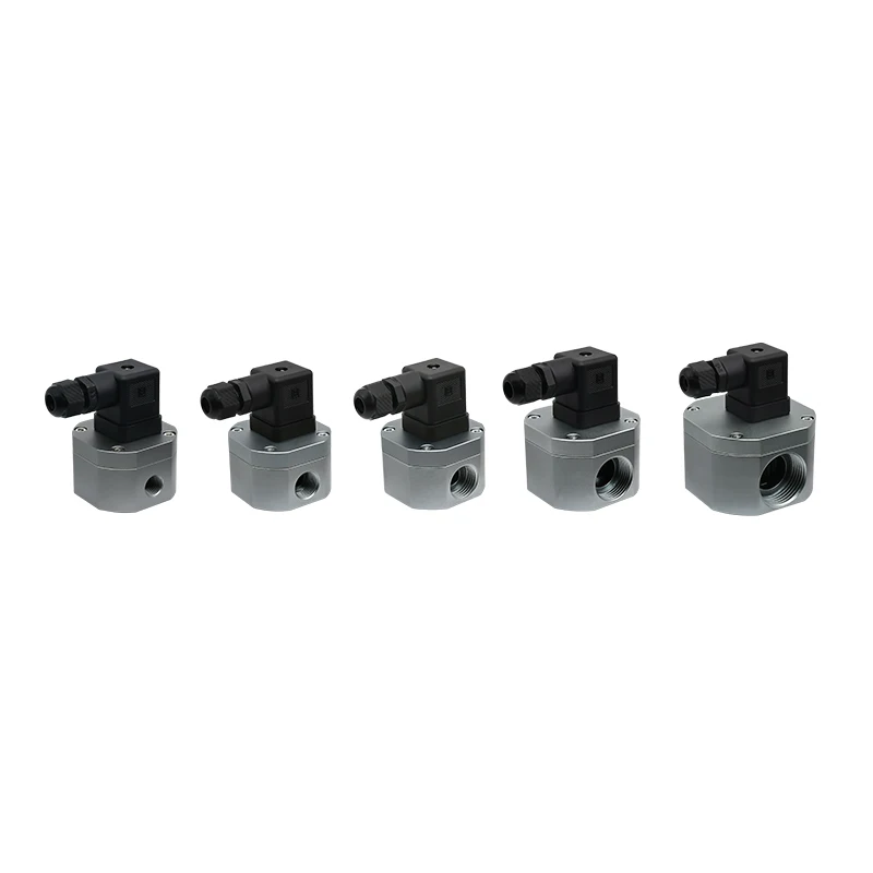 ASAIR High Precision Low Viscosity Small Liquid Circular Gear Flowmeter Water Diesel Volumetric  AFG1