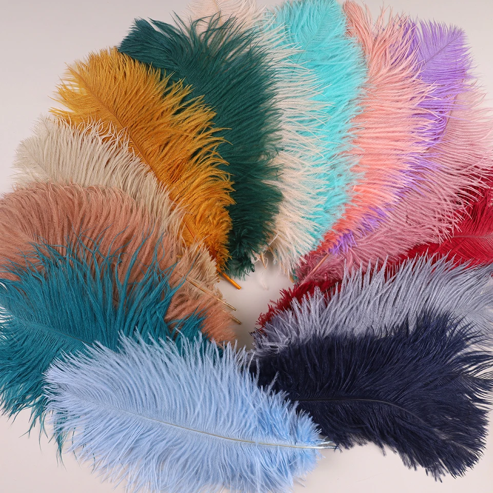 50Pcs Natural Ostrich Feather Accessories 12-22