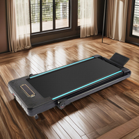 Hot Sale MAX 0.75HP Treadmill Mini 2 in 1 Home Use Walking Pad Home Gym Fitness Silent Motor Treadmill Equipment