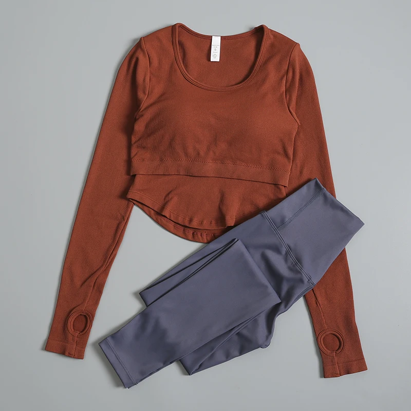 Traje de Yoga para mujer, camiseta ajustada de manga larga, top deportivo de alta gama para correr a la moda, primavera y otoño