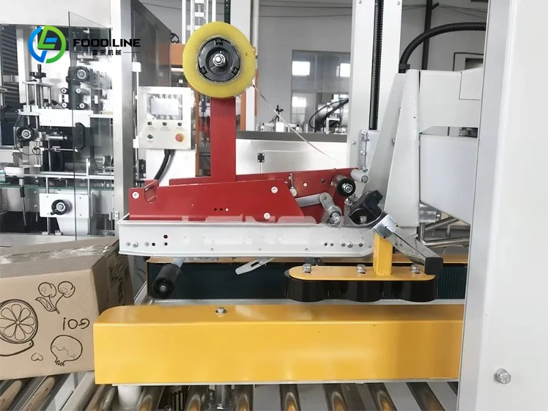 Customized size New Model Carton Packaging Machine | Automatic Adjustable Size | Durable Structure