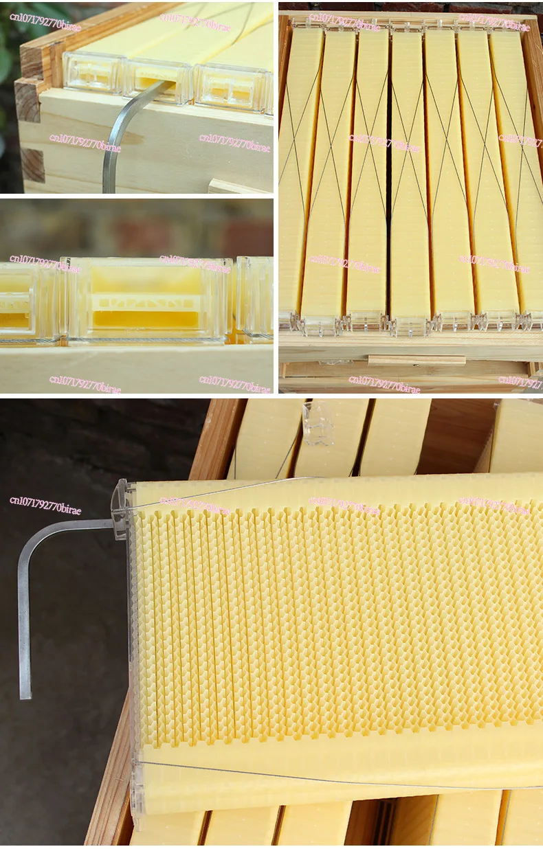 خلية نحل أوتوماتيكية مع 7 قطع إطارات خلية نحل بلاستيكية لتدفق العسل لمعدات تربية النحل