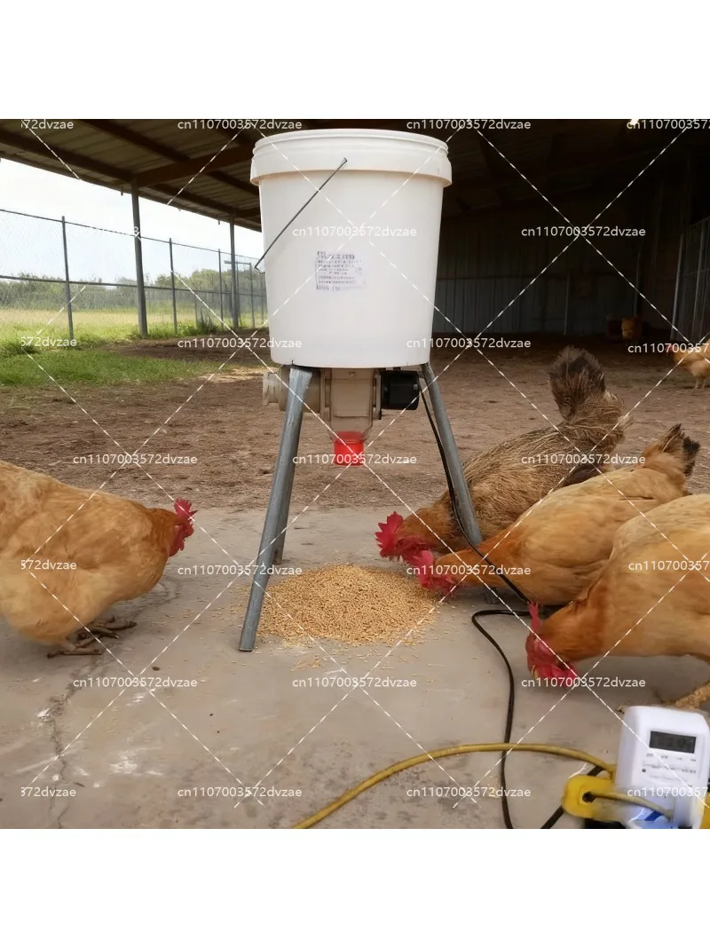 Automatic Chicken Feeder with Timer, Poultry Feeding Schedule Dispenser for Hens