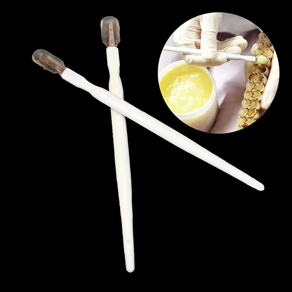 

15 Pcs Take Pulp Pens Royal Jelly Scraper Bee Scraping Pen Bees Pulping Pen Squeegee Pen Queen Rearing Grafting Beekeeping Tools