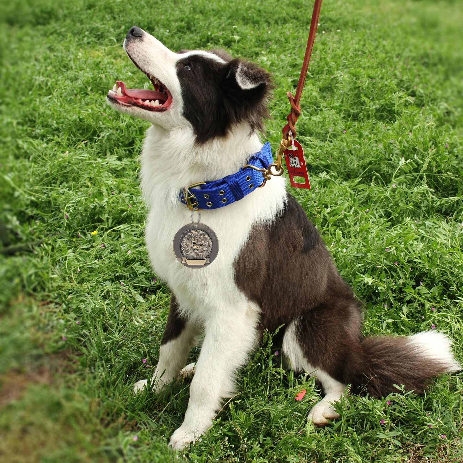 

3pcs Tags Zinc Alloy Vintage Bronze Dog Hanging Tags For Pomeranian Cat Puppy Durable Fall Resistant Identity Tag Pet