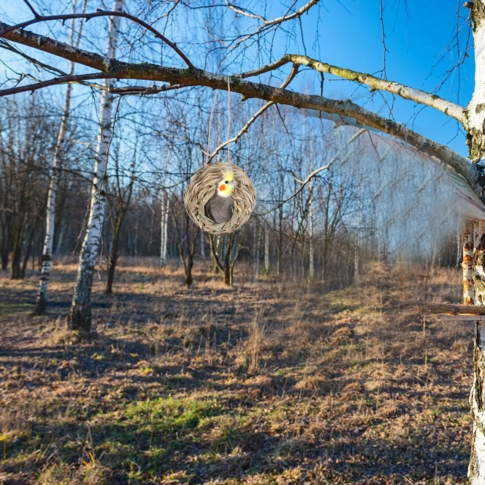 

1Pcs Creative Spherical Hanging Bird Nest Straw Woven Natural Bird House Small Birds Outdoor Perching and Breeding Accessories