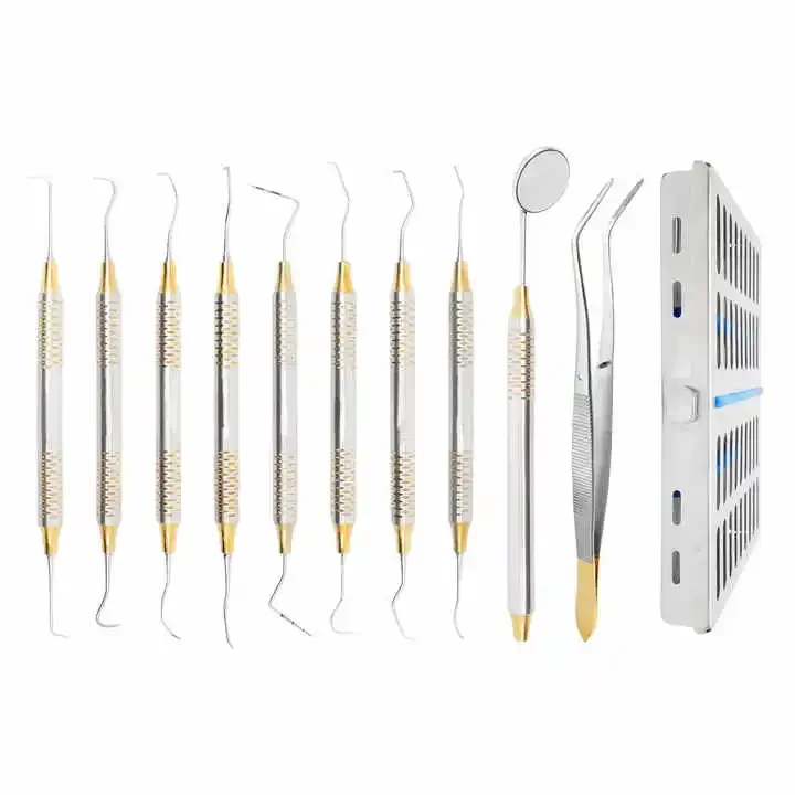 Denta Hygienists Instruments Tool Kit 10 PCs with Sterilization Cassette Professional Prophylaxis Teeth Cleaning Set