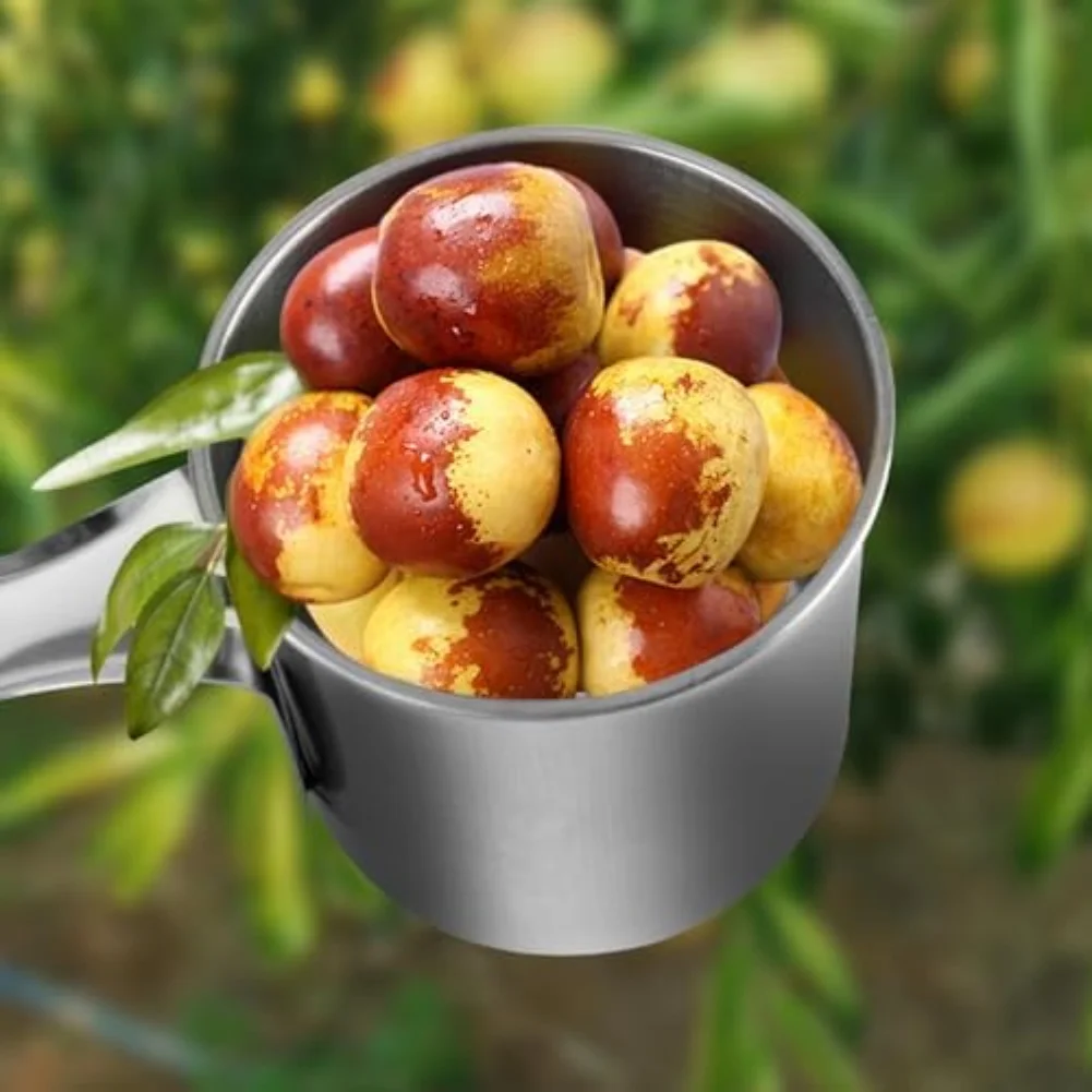 Outil de cueillette de fruits antirouille, hauteur réglable 32x12cm, outil de jardin, fournitures agricoles portables, accessoires