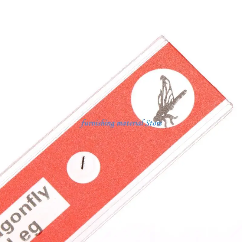 

Y5GD For Stereo Prepared Microscope Slides Of Plants Flowers Sample Specimens
