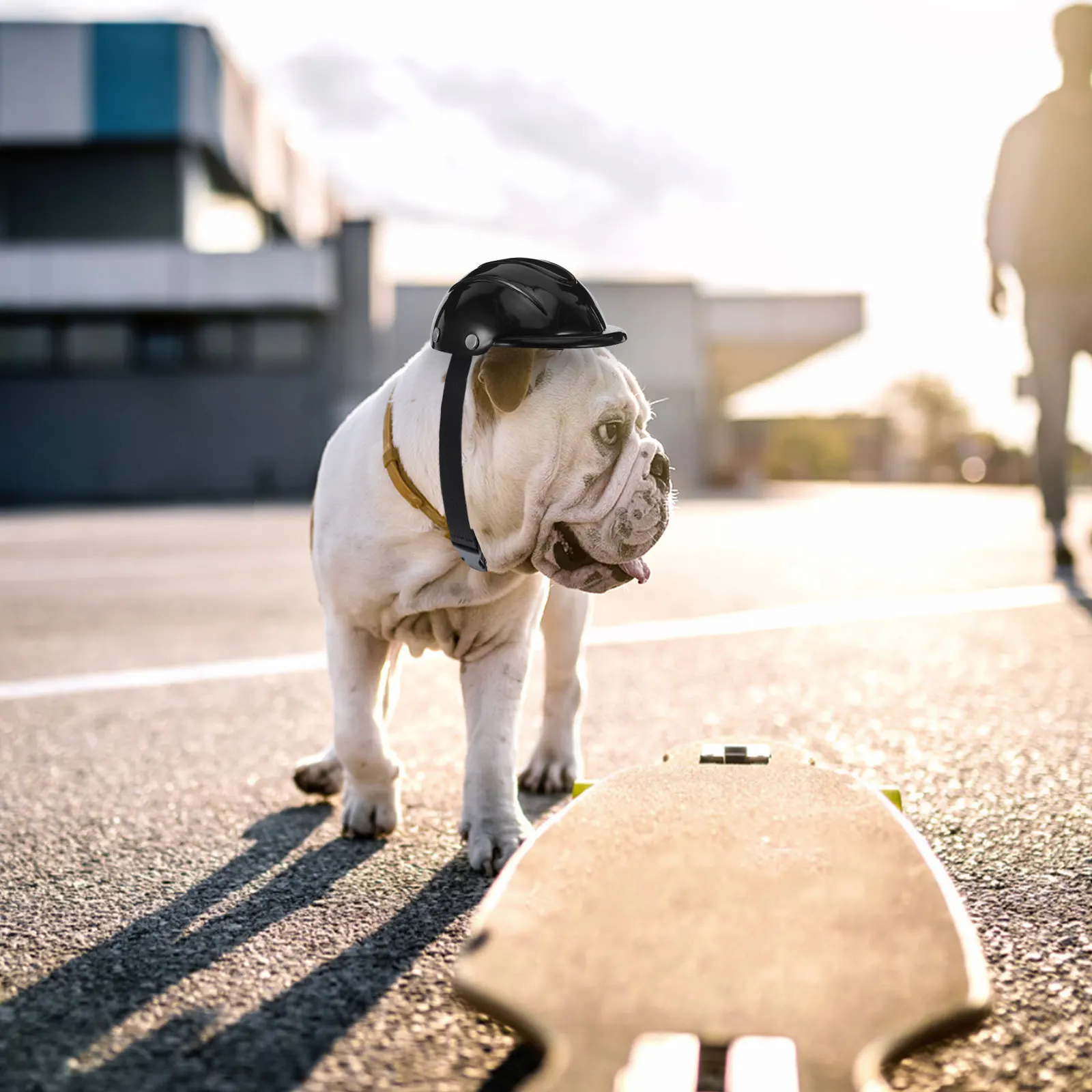 

Pet for Dogs Adjustable Chin Strap Lightweight Hard Safety Hat Small Puppy Motorcycle Outdoor Dog Protective Gear